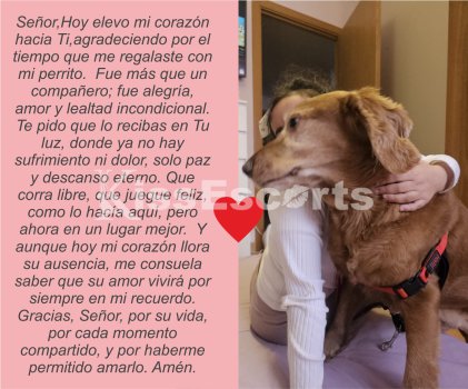 Foto de palomeque